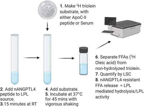 Method for the measurement of lipase activity in milk.